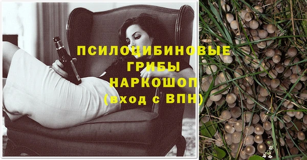крисы Орехово-Зуево