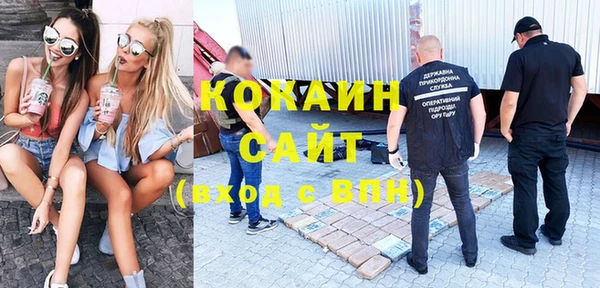 прущая мука Щигры
