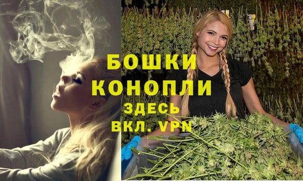 прущая мука Щигры