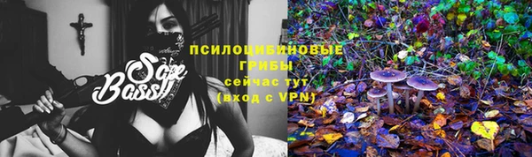 ALPHA-PVP Долгопрудный