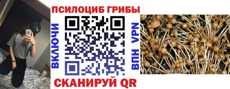 Галлюциногенные грибы MAGIC MUSHROOMS  Невинномысск 
