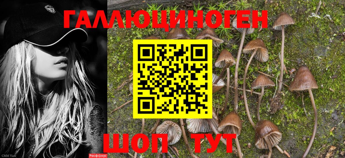 Псилоцибиновые грибы мицелий  Псилоцибиновые грибы Magic Shrooms  Невинномысск  Вход с VPN 